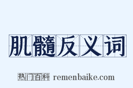 肌髓反义词是什么意思的图片